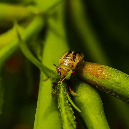 Photo #9781911