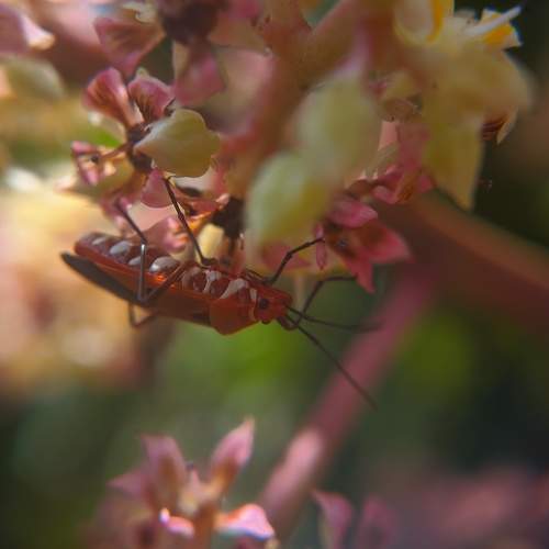 Photo #9781929