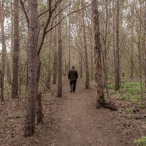 Photo #9782393