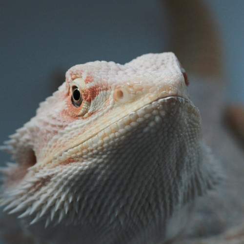 Photo #9782692