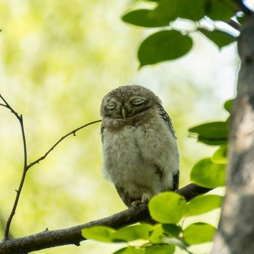 Photo #9782744