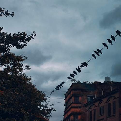 Photo #9782747