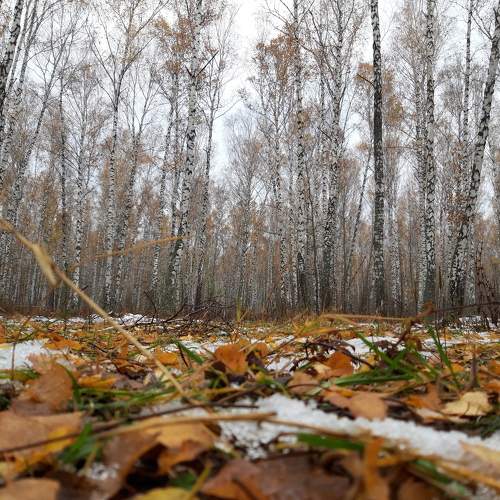 Photo #9783163
