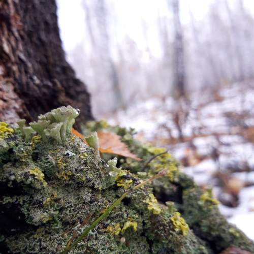 Photo #9783168