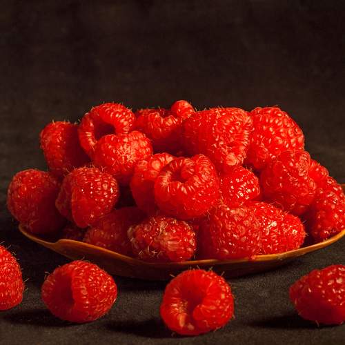 Photo #9783340