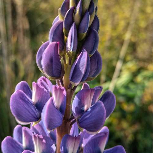 Photo #9783343