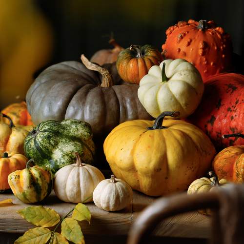 Фотография #9783714