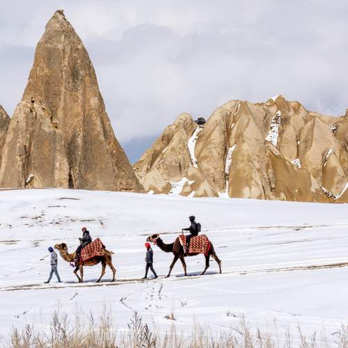 Фотография #9783878