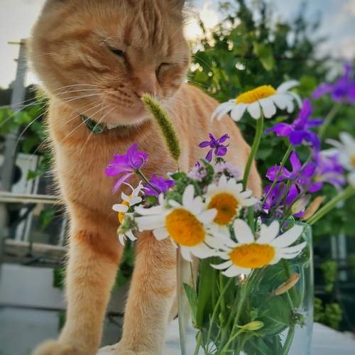 Photo #9784264