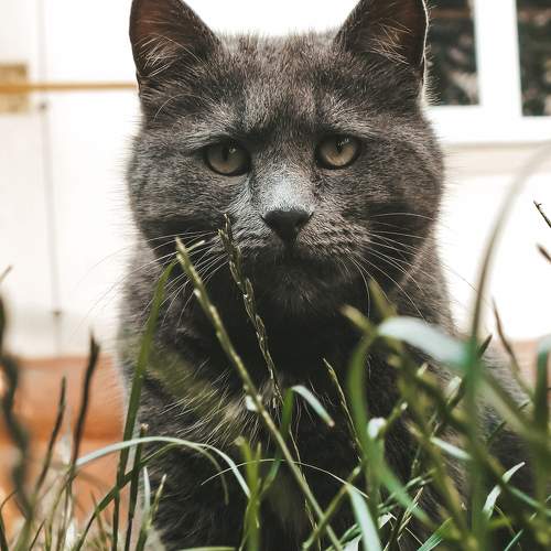 Photo #9784359