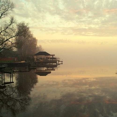 Photo #9784423