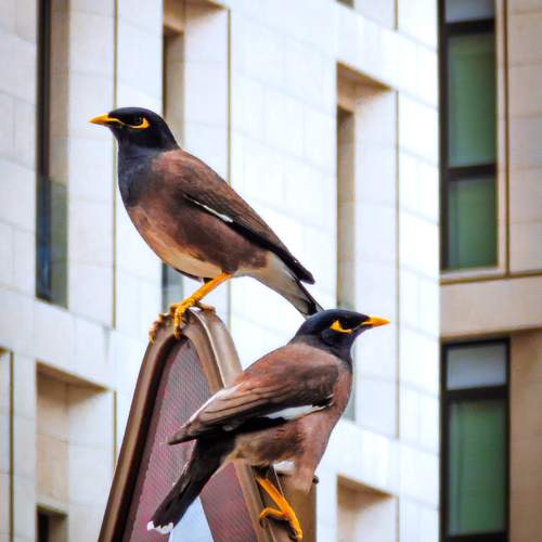 Photo #9784544