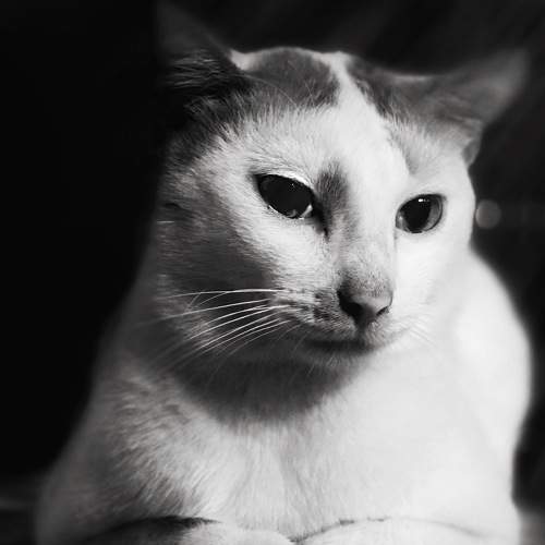 Photo #9784644