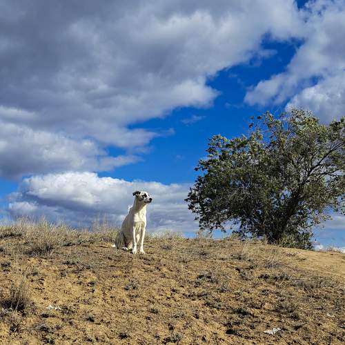 Photo #9784654