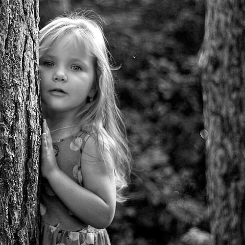 Photo #9785183