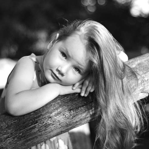 Photo #9785245