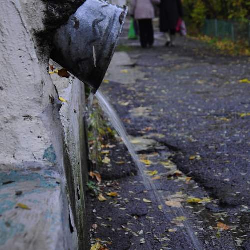 Photo #9785323