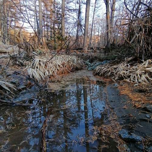 Photo #9785645