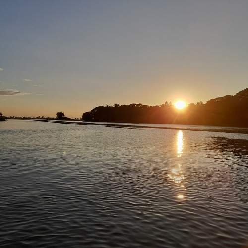 Photo #9786125