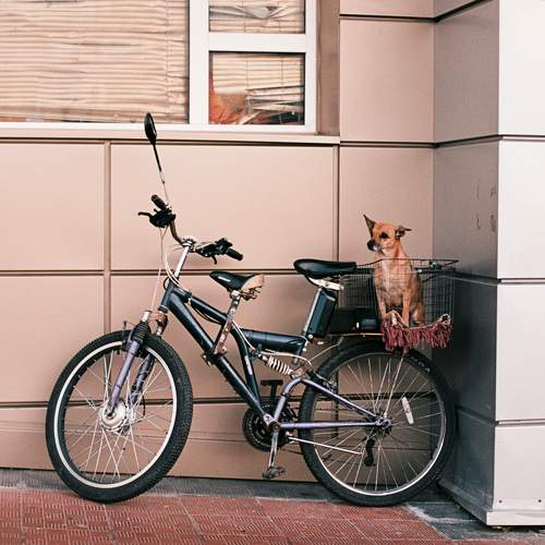 Photo #9786626