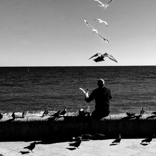 Photo #9786634