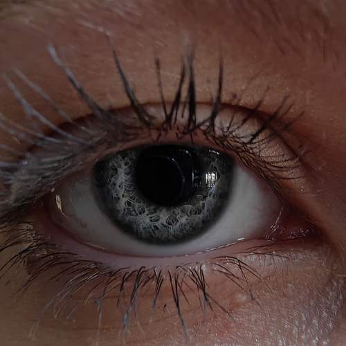 Photo #9786953