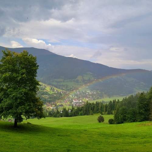 Photo #9787028