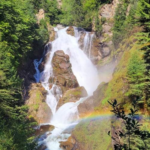 Photo #9787034