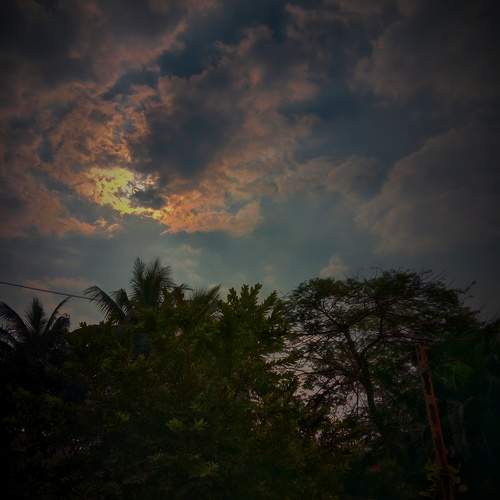 Photo #9787440