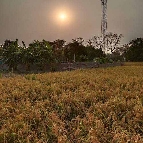 Photo #9787441