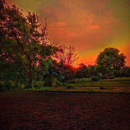 Photo #9787564