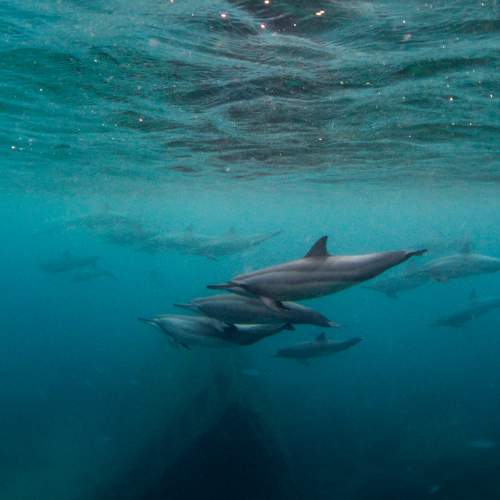 Photo #9787614
