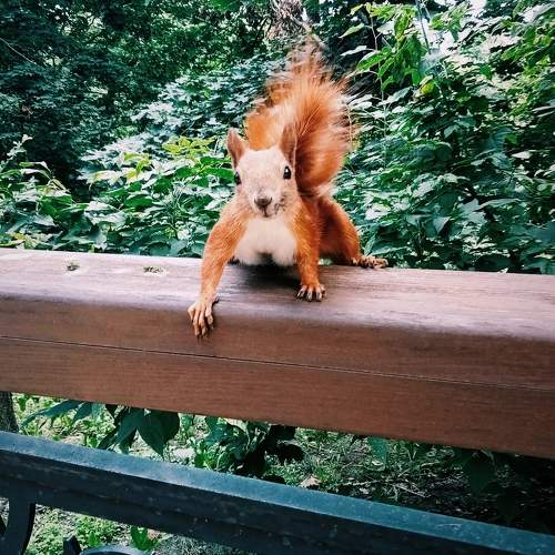 Photo #9787682