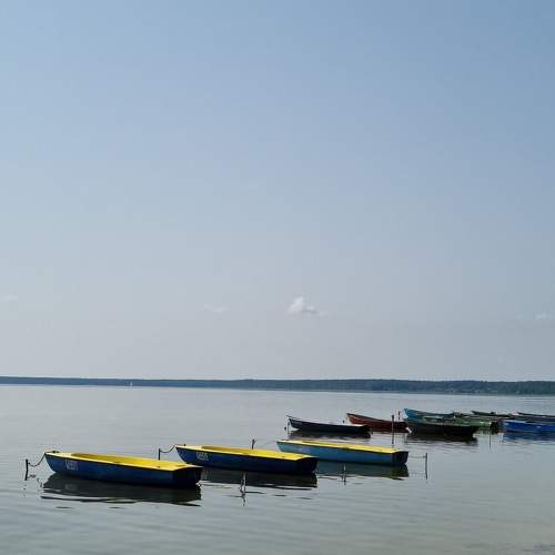 Photo #9787733