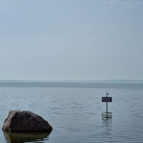 Photo #9787745