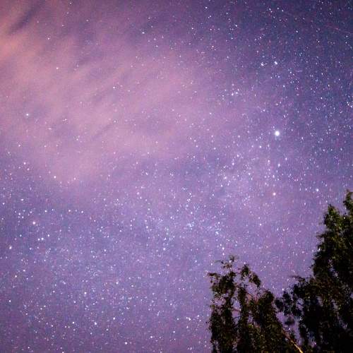 Photo #9787806