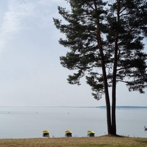 Photo #9787823