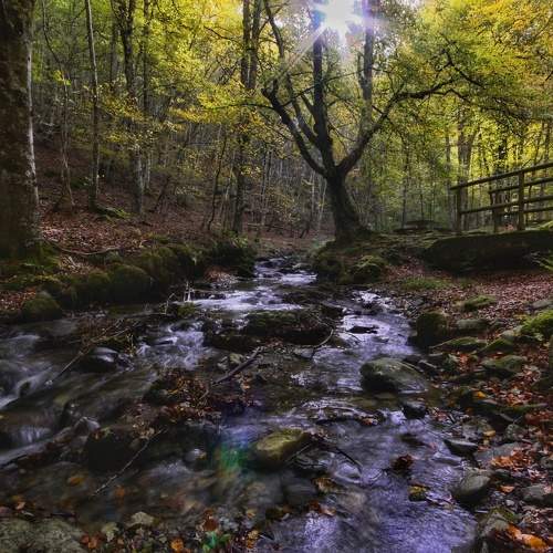 Photo #9788220