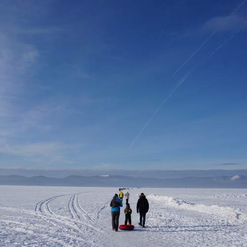 Photo #9788337