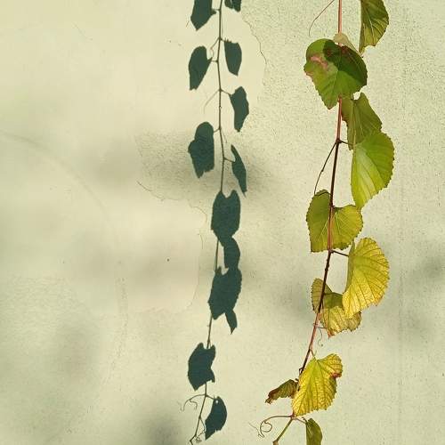 Photo #9788458
