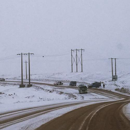 Photo #9788658