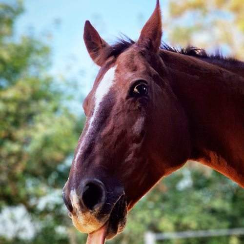 Photo #9788759