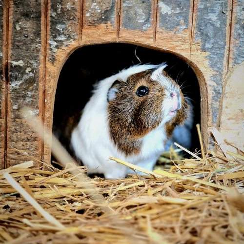 Photo #9788760