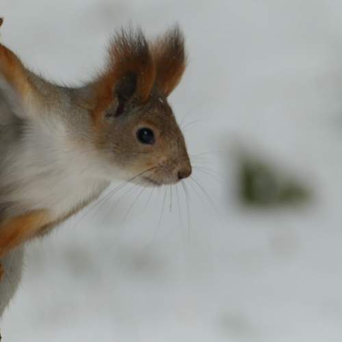 Photo #9789098