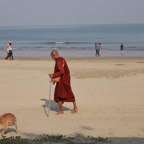 Photo #9789146
