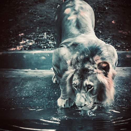 Photo #9789227