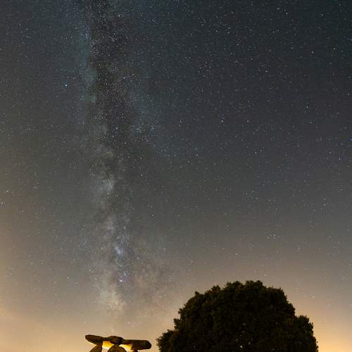 Photo #9789390