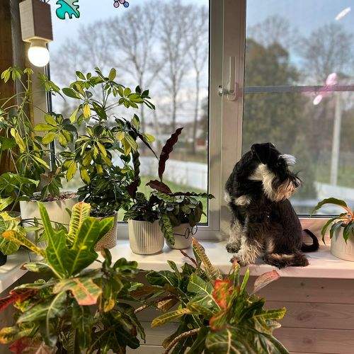 Photo #9789524