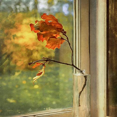 Photo #9789701