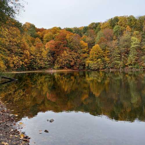 Photo #9789709